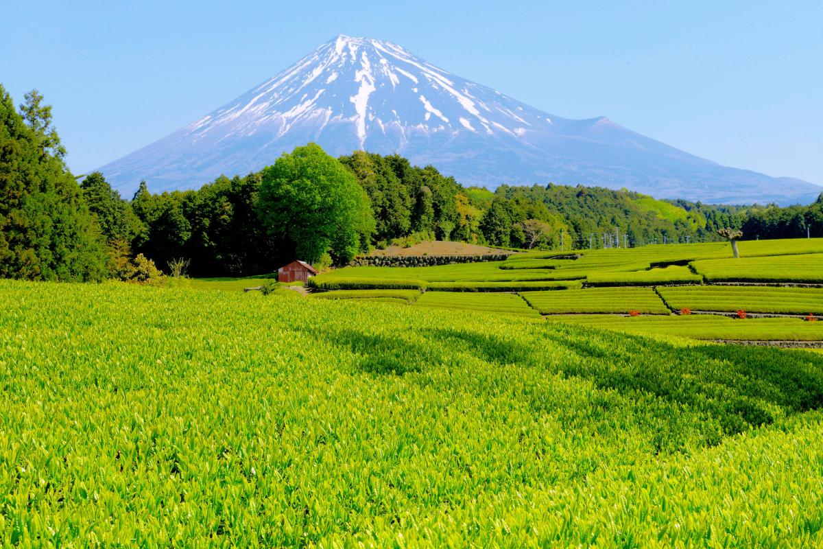 Obuchi, Fuji City