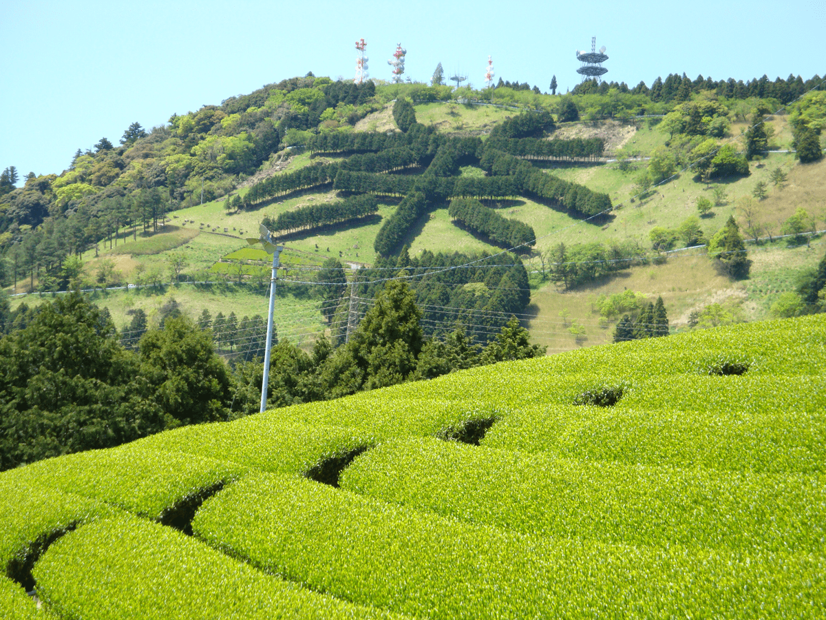 Higashiyama